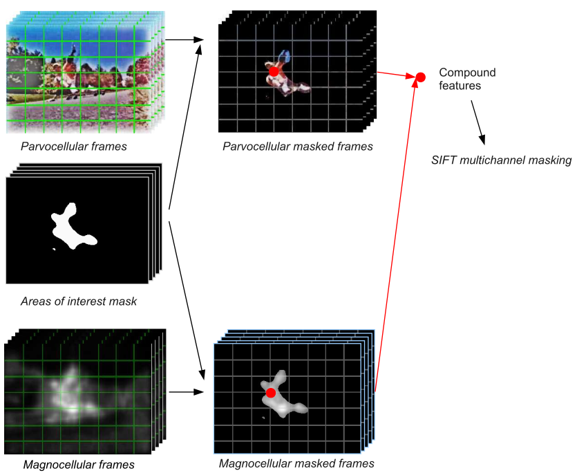 Spatio-temporal data